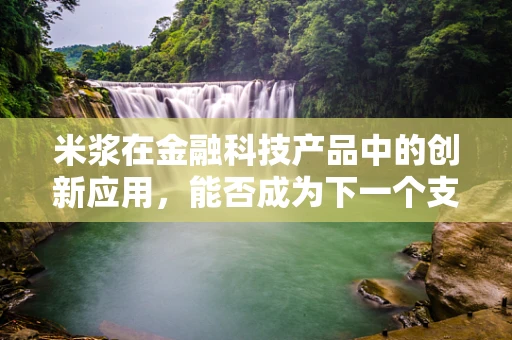 米浆在金融科技产品中的创新应用，能否成为下一个支付新风口？