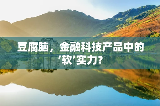 豆腐脑，金融科技产品中的‘软’实力？