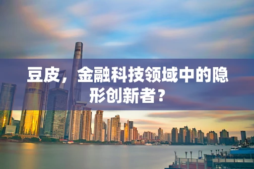 豆皮，金融科技领域中的隐形创新者？