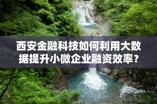 西安金融科技如何利用大数据提升小微企业融资效率？