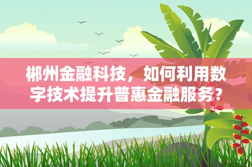 郴州金融科技，如何利用数字技术提升普惠金融服务？