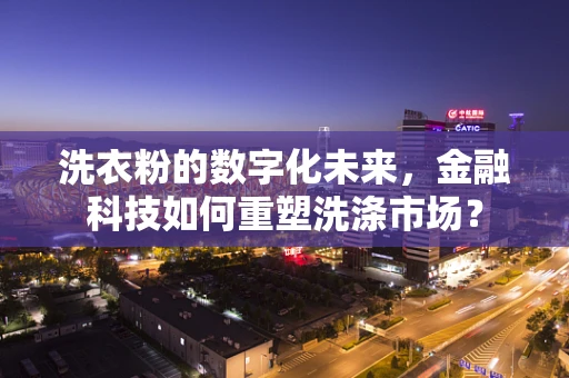洗衣粉的数字化未来，金融科技如何重塑洗涤市场？