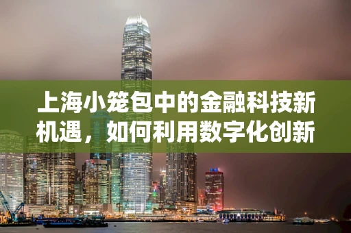 上海小笼包中的金融科技新机遇，如何利用数字化创新提升传统美食体验？