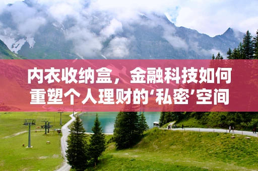 内衣收纳盒，金融科技如何重塑个人理财的‘私密’空间？