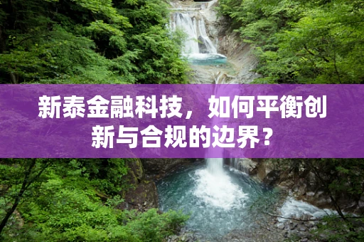 新泰金融科技，如何平衡创新与合规的边界？