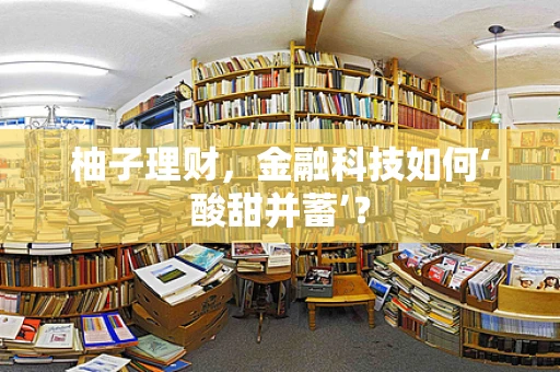 柚子理财，金融科技如何‘酸甜并蓄’？