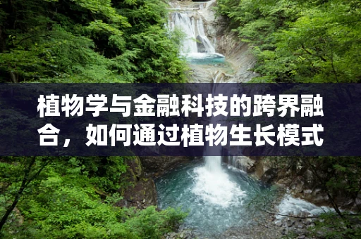 植物学与金融科技的跨界融合，如何通过植物生长模式优化信贷风险评估？