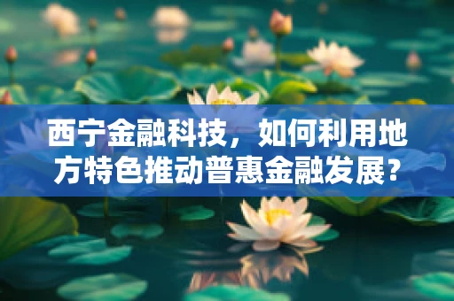 西宁金融科技，如何利用地方特色推动普惠金融发展？