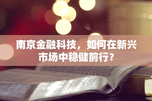 南京金融科技，如何在新兴市场中稳健前行？