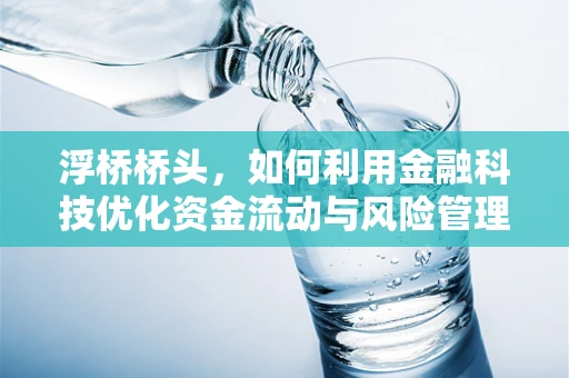 浮桥桥头，如何利用金融科技优化资金流动与风险管理？