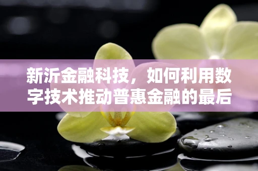 新沂金融科技，如何利用数字技术推动普惠金融的最后一公里？
