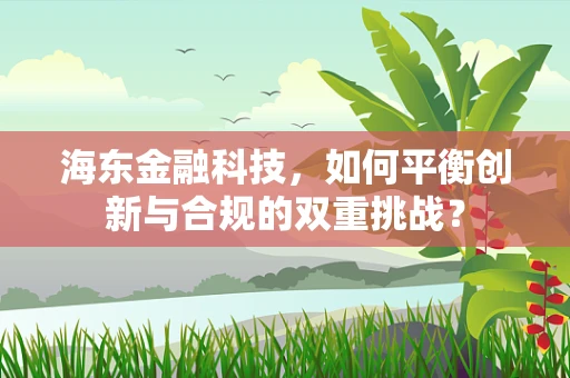 海东金融科技，如何平衡创新与合规的双重挑战？