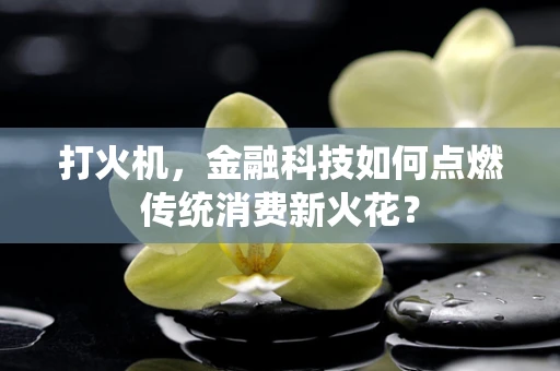 打火机，金融科技如何点燃传统消费新火花？