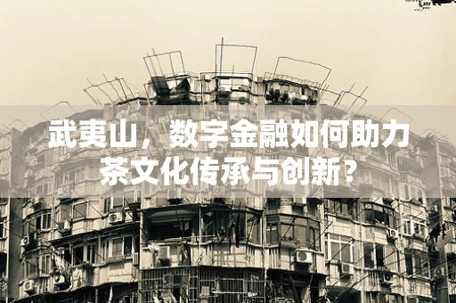 武夷山，数字金融如何助力茶文化传承与创新？