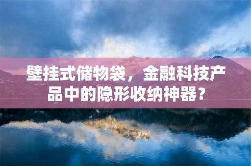 壁挂式储物袋，金融科技产品中的隐形收纳神器？