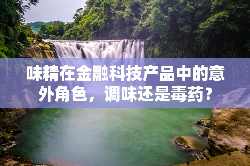 味精在金融科技产品中的意外角色，调味还是毒药？