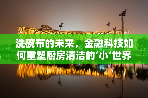 洗碗布的未来，金融科技如何重塑厨房清洁的‘小’世界？