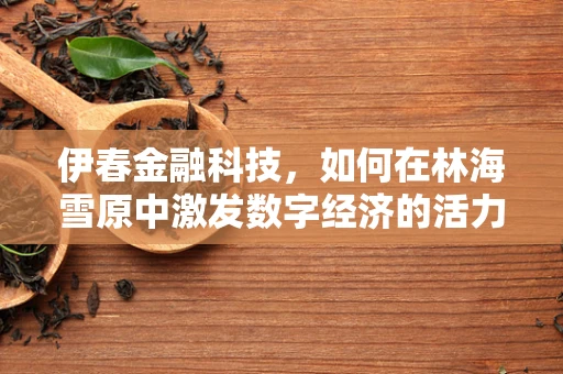伊春金融科技，如何在林海雪原中激发数字经济的活力？