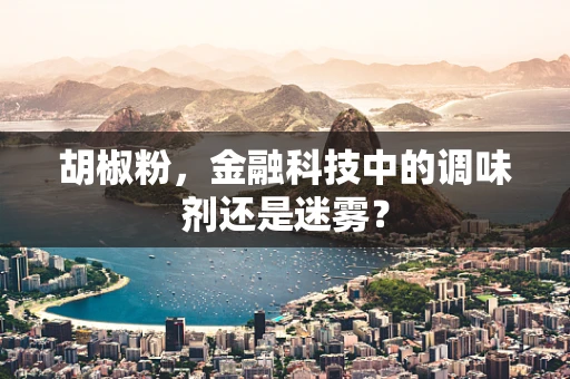 胡椒粉，金融科技中的调味剂还是迷雾？