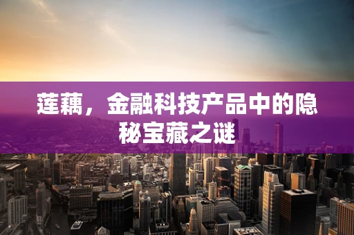 莲藕，金融科技产品中的隐秘宝藏之谜