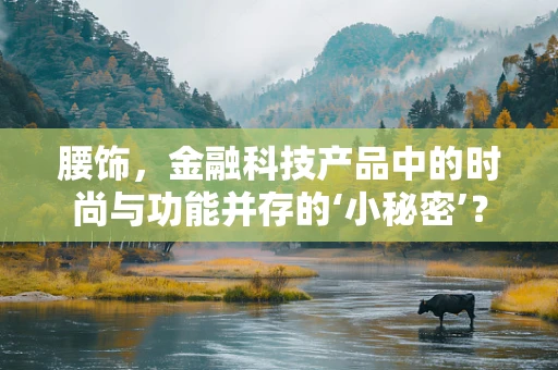腰饰，金融科技产品中的时尚与功能并存的‘小秘密’？