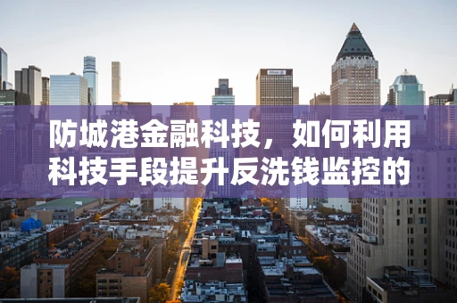 防城港金融科技，如何利用科技手段提升反洗钱监控的精准度？