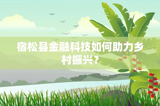 宿松县金融科技如何助力乡村振兴？