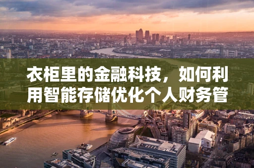 衣柜里的金融科技，如何利用智能存储优化个人财务管理？