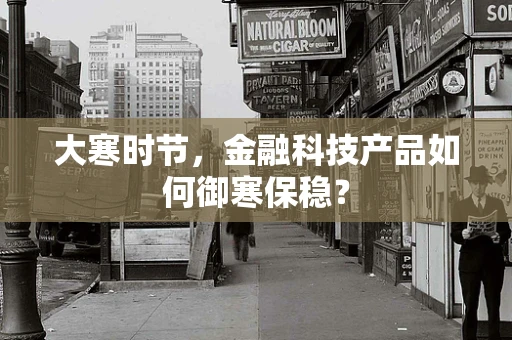 大寒时节，金融科技产品如何御寒保稳？