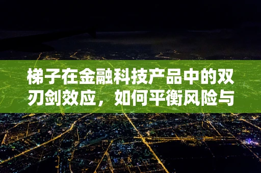 梯子在金融科技产品中的双刃剑效应，如何平衡风险与效率？