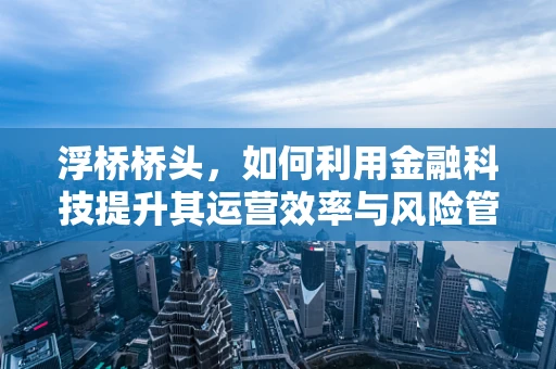 浮桥桥头，如何利用金融科技提升其运营效率与风险管理？