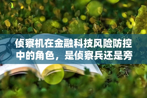 侦察机在金融科技风险防控中的角色，是侦察兵还是旁观者？