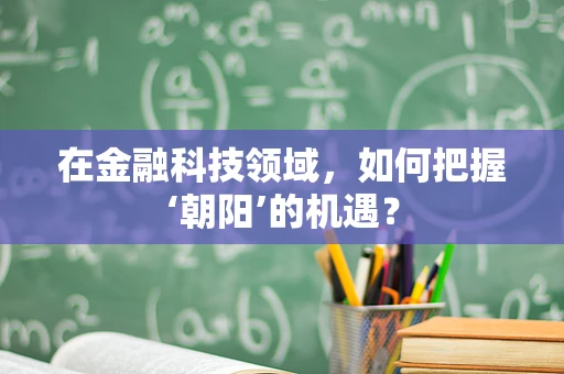 在金融科技领域，如何把握‘朝阳’的机遇？