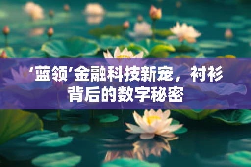 ‘蓝领’金融科技新宠，衬衫背后的数字秘密