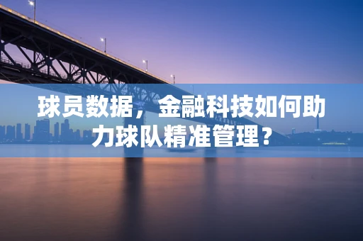 球员数据，金融科技如何助力球队精准管理？