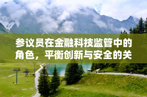 参议员在金融科技监管中的角色，平衡创新与安全的关键力量？