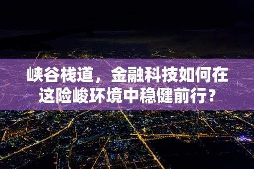 峡谷栈道，金融科技如何在这险峻环境中稳健前行？