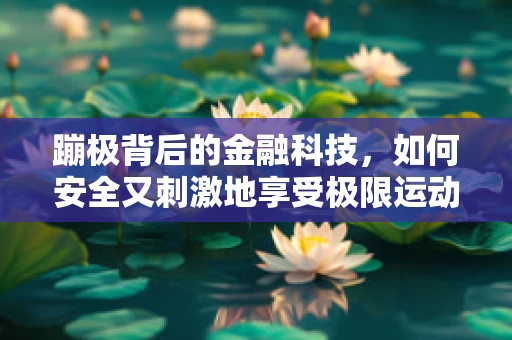 蹦极背后的金融科技，如何安全又刺激地享受极限运动？