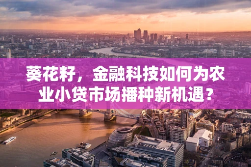 葵花籽，金融科技如何为农业小贷市场播种新机遇？