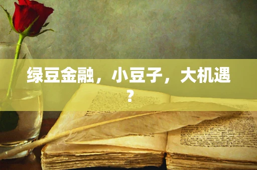 绿豆金融，小豆子，大机遇？
