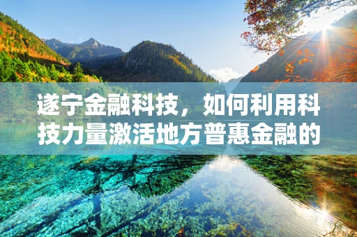 遂宁金融科技，如何利用科技力量激活地方普惠金融的最后一公里？