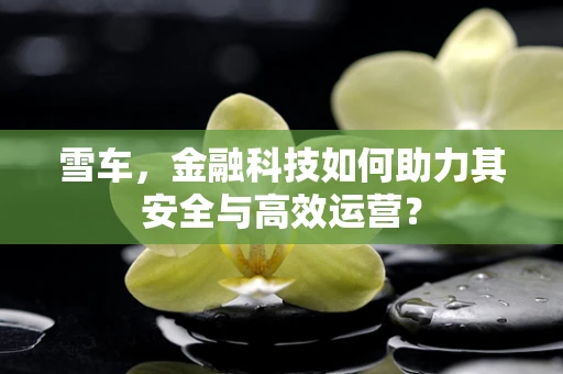 雪车，金融科技如何助力其安全与高效运营？
