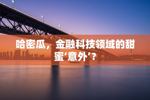 哈密瓜，金融科技领域的甜蜜‘意外’？