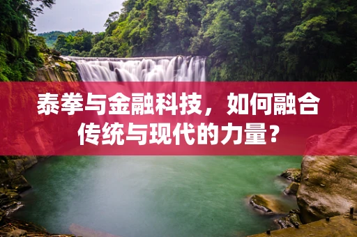 泰拳与金融科技，如何融合传统与现代的力量？