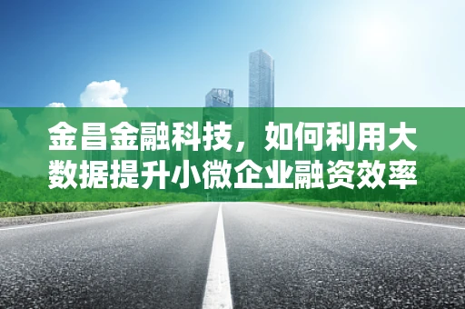 金昌金融科技，如何利用大数据提升小微企业融资效率？