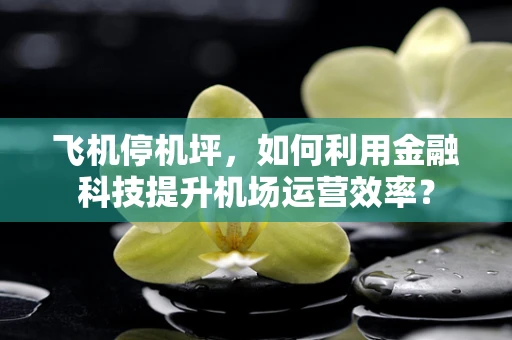 飞机停机坪，如何利用金融科技提升机场运营效率？