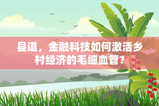 县道，金融科技如何激活乡村经济的毛细血管？