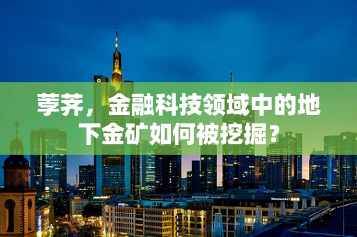 荸荠，金融科技领域中的地下金矿如何被挖掘？