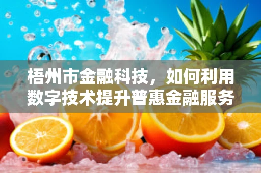 梧州市金融科技，如何利用数字技术提升普惠金融服务？