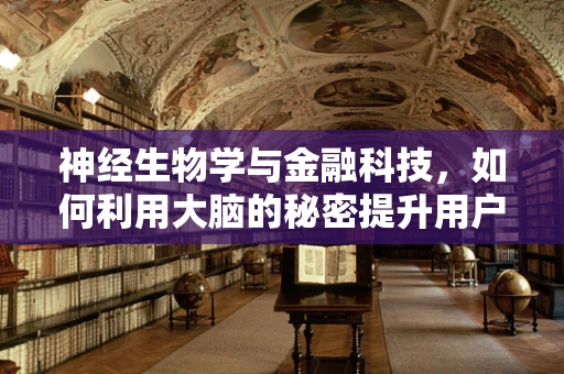 神经生物学与金融科技，如何利用大脑的秘密提升用户体验？